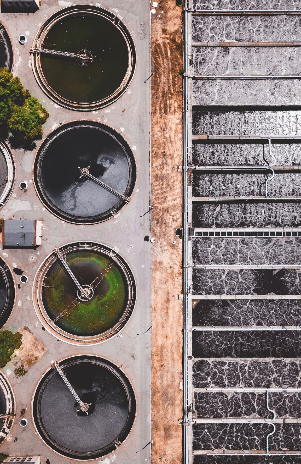 THE BIOLOGICAL SYSTEMS